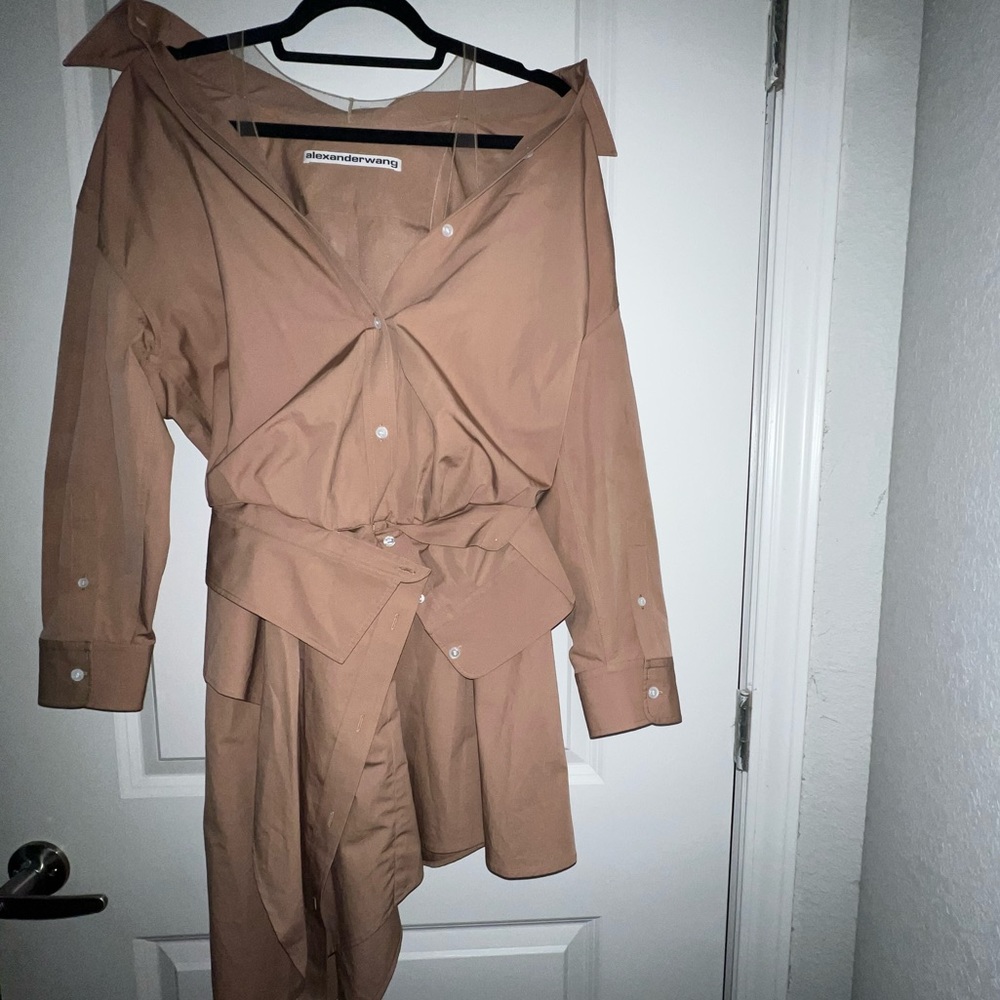 Beige Alexander wang dress